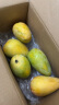京鲜生 海南大台农芒果 1.5kg装 单果150g以上 新鲜水果 实拍图
