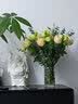 馨仪鲜花速递33朵香槟玫瑰花束送女友生日礼物全国同城配送 19朵红玫瑰+9朵粉百合混搭花束 实拍图