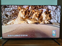 索尼（SONY）XR-55X90L 55英寸4K 120Hz超薄液晶全面屏金属边框安卓智能高性能游戏电视X90K升级款以旧换新 55英寸 XR-55X90L 实拍图