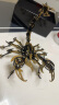 龙零龙零蝎子玩具金属拼装模型3D立体拼图成人创意手工可动生日礼物男 限定款黑金魔蝎拼装包 晒单实拍图
