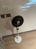 美的（Midea）空气循环扇智能遥控电风扇落地扇家用安静轻音3D电扇涡轮换气扇循环对流台式桌面小电扇滤网过滤 【新品上市·APP智联】直流变频-FGD24UZR 晒单实拍图