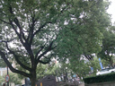 彩族（CAIZU）高清学生数码相机取代ccd校园迷你便携4800万像素照相机街拍傻瓜相机美颜滤镜卡片机生日礼物 【经典款 单摄】皓月白 【32G内存卡】可拍3000张照片 实拍图