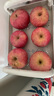 甜醉了 烟台苹果栖霞红富士新鲜水果生鲜山东特产脆甜整箱平果礼盒礼品 净重3斤大果80mm 实拍图