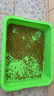 墨斗鱼 育苗盘芽苗菜育苗神器家用水培蔬菜发芽盆保温育苗播种托盘*1 实拍图