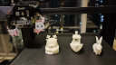 创想三维 Ender-3 S1 3d打印机FDM桌面级高精度模型手办儿童玩具定制学校家用教育创客 Ender-3 S1(标配） 实拍图