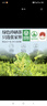 贡苑 张家界野生莓茶125g（绿色食品）特优级芽尖龙须永土家顺霉茶 实拍图