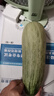 正宗山东头茬现摘羊角甜瓜新鲜应季水果当季蜜瓜孕妇香瓜整箱 羊角蜜【带箱4.8-5.1斤】当季头茬大果 晒单实拍图
