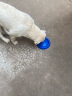 星记狗狗训练用品训犬玩具球边牧飞盘软飞碟耐咬不伤牙 星记蓝色-飞盘 标准号 实拍图