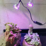灯力 植物生长灯LED全光谱蔬菜温室大棚室内多肉花卉自然光补光灯 【定时款】全光谱6W-双头不锈钢 晒单实拍图