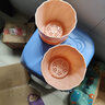 墨斗鱼花盆塑料家用轻奢高级感仿陶瓷树脂阳台多肉带托盘雅典小号1596 实拍图