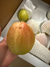 京鲜生 长城脆香梨 新梨七号 净重5斤 单果225g+ 生鲜水果礼盒 实拍图