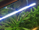 森森（SUNSUN）鱼缸灯LED水草灯防水支架灯全光谱鱼缸观赏灯爆藻照明草缸灯 更薄更亮14W防水灯（适合80-90cm缸） 实拍图