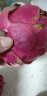 优仙果金都一号红心火龙果 红绣球新鲜当季水果红肉火龙果 巨无霸果5斤单果500g+ 实拍图