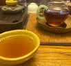 特美刻（TOMIC）户外茶壶老白茶闷茶壶家用大容量茶水分离泡茶壶普生日新年礼物 【智能款】咖色 1L 实拍图