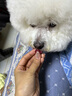 顽皮（Wanpy）犬用鲜封包妙鲜封包狗狗湿粮狗粮伴侣狗零食 随机口味1包 实拍图