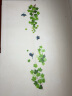 欧仕图（OUSHITU）ins墙贴画自粘 清新树枝墙壁装饰贴画温床头卧室布置贴纸玻璃墙纸 清新树枝 实拍图