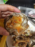 【活蟹】蟹宗大闸蟹鲜活螃蟹现货公4.3-4.6母2.8-3.1两4对8只海鲜水产生鲜节日送礼礼盒 实拍图