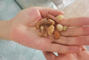 三只松鼠每日坚果纯坚果750g 坚果零食礼盒开心果核桃腰果团购送礼 实拍图