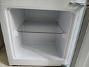 康佳新品家电180升两门双门小冰箱节能省电低音家用宿舍出租房办公室迷你白色电冰箱冷藏冷冻以旧换新 实拍图
