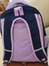 Edison小学生书包女1-3年级轻便反光多隔层校园儿童背包 2391-2紫色 实拍图