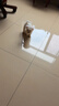 憨憨宠 狗狗衣服猫衣服宠物泰迪衣服冬季猫咪衣服小型犬衣服幼犬秋冬服 红色 花朵小背包卫衣 S号建议体重3-5斤 实拍图