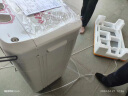 小天鹅（LittleSwan）双桶双缸洗衣机半自动  8公斤家电 喷淋漂洗强力去污 以旧换新 操作简便 租房家用 TP80VDS08 实拍图