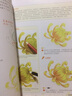 经典全集《彩铅基础教程》零基础人门教程材自学手绘本插画动漫临摹初学者儿童成人物书籍古风 实拍图