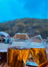 帕莎帕琦啤酒杯进口吹制超大容量无铅玻璃扎啤果汁饮料水杯665ML2只42756 实拍图