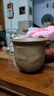 陶迷（TAOMI）高档主人杯茶杯品茗杯汝窑小茶杯茶盏家用陶瓷功夫茶具泡茶杯 柴烧一鹿有你 180ml 1只 200mL以下 实拍图