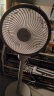 夏普（Sharp）空气循环扇/电风扇/家用落地扇/纳米离子群净化遥控定时轻音节能香薰驱蚊强劲对流风PJ-CD603B 晒单实拍图