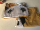 大胆龙图衣服全套搞笑情侣装睡衣上衣短袖T恤皇帝套装服装cos龙袍 大胆龙图【短袖+短裤】套装 M【建议90-105斤】 实拍图