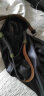 啄木鸟（TUCANO）牛皮女士皮带装饰腰带女韩版时尚简洁个性针扣压花生日礼物送女友 实拍图