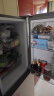 夏普（SHARP）两门冰箱 风冷无霜 节能冰箱 小型家用 大冷冻 冰箱 以旧换新 BCD-196WTGE-N 米罗金 玻璃面板 实拍图