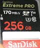 闪迪（SanDisk）闪迪相机卡 4K高清SD卡 微单存储卡微单反摄像储存大卡内存sd卡内存卡 微单/单反相机内存卡 256G V30 200MB/S SD相机内存卡 实拍图