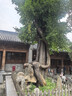 海之歐 三防热敏标签纸 不干胶条码纸称纸 60x40 40x30防水便签超市专用服装吊牌贴纸电子秤纸打印纸定制 40x30  800张 1卷 横版 实拍图