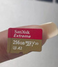 闪迪（SanDisk）256GB TF(MicroSD)内存卡 4K极速金卡A2 V30 U3行车记录仪 运动相机无人机 监控存储卡 读190MB/s 实拍图