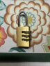 飞球( Fly.Globe) 密码锁行李箱铜挂锁宿舍储物柜小锁头箱包锁320 实拍图