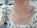 洛希曼项链女镶钻首饰吊坠锁骨生日礼物送女朋友老婆【免费刻字】 【刻字】+豪华礼盒+四叶草项链 实拍图