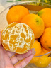 甜萌果蔬四川爱媛38号果冻橙当季柑橘冰糖橙子桔子新鲜水果礼盒中秋送礼 6A级精品果丨单果65-70mm【香甜】 5斤装【热销超划算丨30年老树果】净4.5斤 实拍图