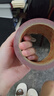 3M强力双面泡棉胶带ETC汽车家居用无痕耐水耐高温50MM*3M 单卷装 实拍图