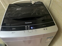 松下（Panasonic）【吴磊推荐】波轮洗衣机全自动8公斤 宿舍租房神器 迷你内衣洗衣机智能桶自洁以旧换新XQB80-K3F1 实拍图