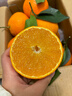 甜萌果蔬四川爱媛38号果冻橙当季柑橘冰糖橙子桔子新鲜水果礼盒中秋送礼 6A级精品果丨单果65-70mm【香甜】 5斤装【热销超划算丨30年老树果】净4.5斤 实拍图
