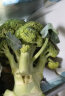 京百味 甘肃紫甘蓝 1kg 简装 新鲜蔬菜 实拍图