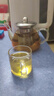 葫仙玻璃泡茶壶耐热耐高温加厚玻璃壶办公家用电陶炉煮茶壶水壶 400ml单壶+4只把手杯 实拍图