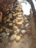 悠梵萌鱼缸造景石头水族箱龟缸多肉装饰底砂混色鹅卵石铺路5斤2-3cm 实拍图
