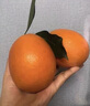 渝奉顺丰正宗重庆奉节脐橙薄皮大果现摘孕妇水果新鲜当季10斤20甜橙子 【中大果75-80】纽荷尔/推荐款 带箱子20斤 实拍图