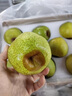 樱鲜山东莱阳慈梨茌梨 正宗贡梨新鲜当季水果 生鲜礼盒 特产 4.5斤中果 80-90mm 6-8个 实拍图