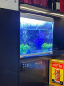 森森 超白玻璃一体小鱼缸AT-500B款（长50cm）桌面观赏性水族箱  实拍图