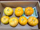 辰实【发顺丰】内蒙黄柿子 大果 内蒙五原黄色西红柿 番茄水果 5斤 黄柿子【大果】推荐 实拍图