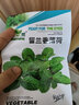 食用薄荷种子猫薄荷盆栽四季室内驱蚊虫植物阳台易种花卉种孑籽 含羞草50粒 不含盆 实拍图